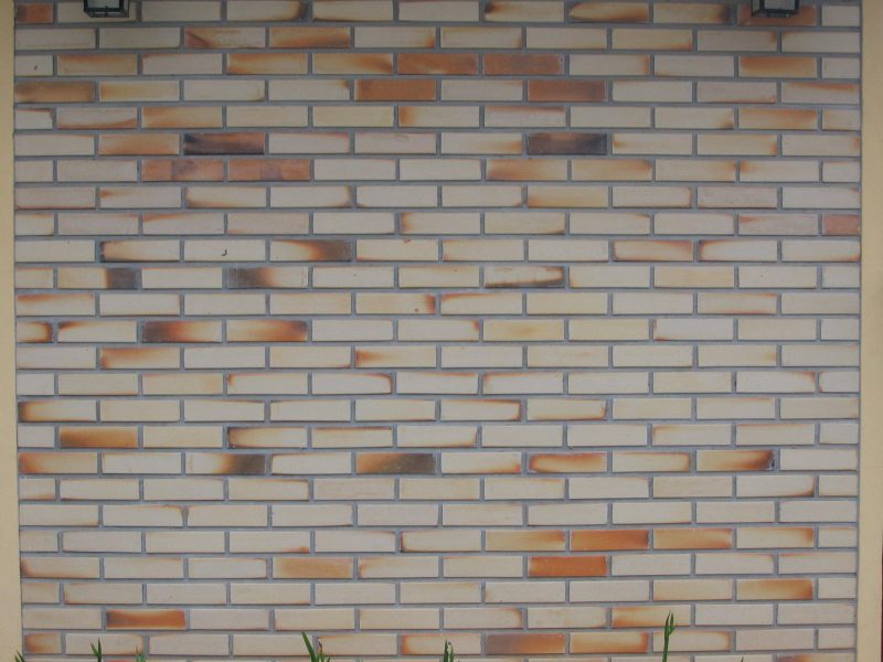 Plaqueta lisa mesclada